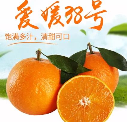 爱媛38号是橙子还是橘子?爱媛38号适合哪里种植? 爱媛38号是橙子还是橘子?爱媛38号适合哪里种植?