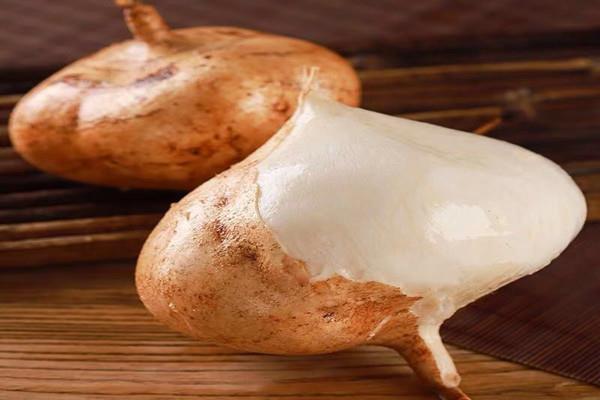 凉薯的热量高不高 凉薯减肥期可以吃吗 凉薯的热量高不高 凉薯减肥期可以吃吗