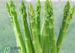 芦笋过敏怎么办?芦笋过敏怎么处理? 芦笋过敏怎么办?芦笋过敏怎么处理?