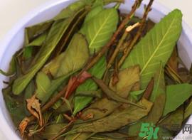 枇杷叶煮水能止咳吗?枇杷叶煮水的功效与作用.png 枇杷叶煮水能止咳吗?枇杷叶煮水的功效与作用.png