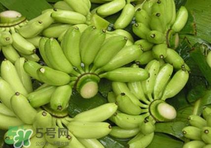 芭蕉什么时候成熟?芭蕉什么时候开花 芭蕉什么时候成熟?芭蕉什么时候开花