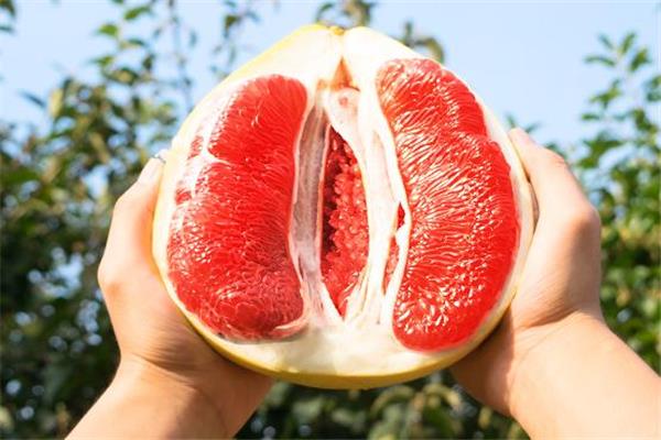 葡萄柚宝宝能吃吗 适量食用好处多 葡萄柚宝宝能吃吗 适量食用好处多