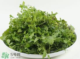 荠菜多少钱一斤?野生荠菜多少钱一斤? 荠菜多少钱一斤?野生荠菜多少钱一斤?