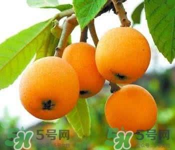 枇杷怎么洗干净?枇杷的清洗