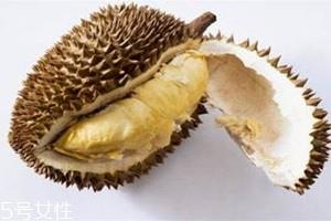 甲仑榴莲什么时候上市 甲仑榴莲成熟时间 甲仑榴莲什么时候上市 甲仑榴莲成熟时间