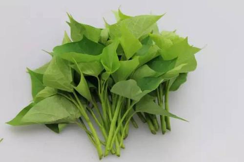 红薯叶有减肥功效吗 红薯叶怎么做减肥 红薯叶有减肥功效吗 红薯叶怎么做减肥