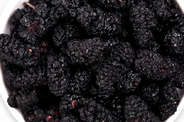 桑葚干泡水是什么颜色 桑葚干泡水喝会上火吗 桑葚干泡水是什么颜色 桑葚干泡水喝会上火吗