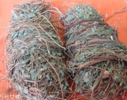 鸡骨草可以长期服用吗 不建议每天都喝