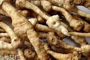 黄精什么时候采 春秋采收均可 黄精什么时候采 春秋采收均可