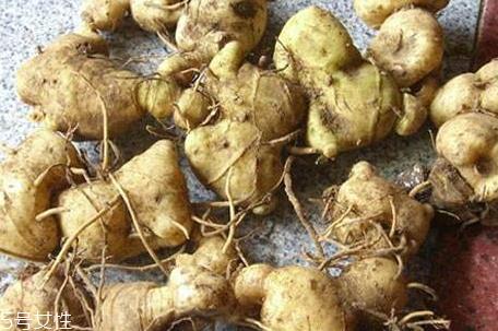 黄精什么时候采 春秋采收均可 黄精什么时候采 春秋采收均可