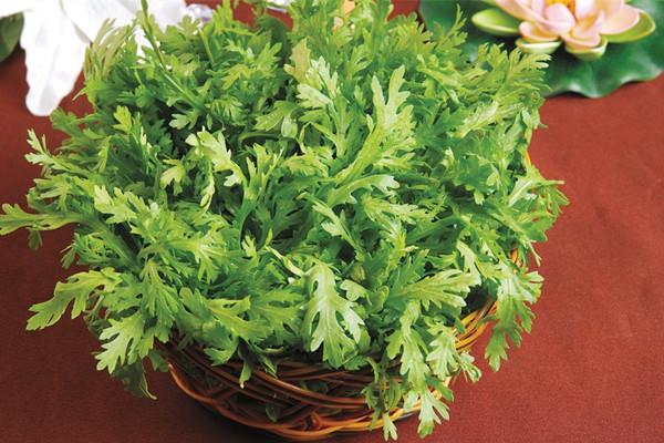 茼蒿的营养成分 茼蒿的食用价值