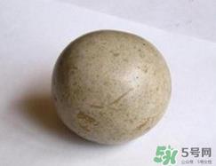 羊宝是什么？羊宝为什么这么贵？