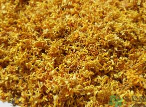  桂花多少钱一斤？桂花多少钱一两？