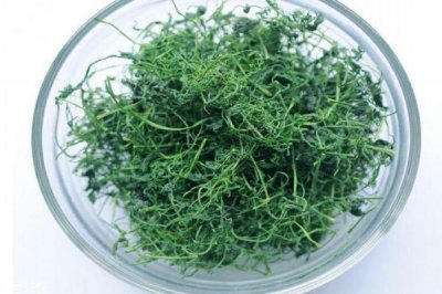​绞股蓝泡水苦吗 绞股蓝茶什么味道