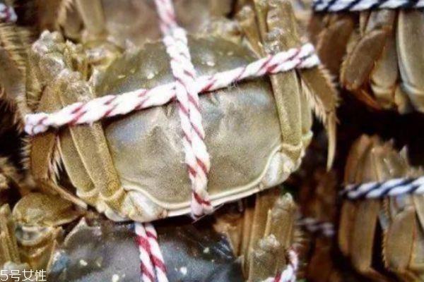 怎么分辨大闸蟹死活 4个方法教你分辨 怎么分辨大闸蟹死活 4个方法教你分辨