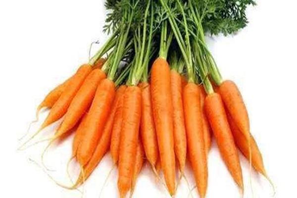 胡萝卜素可以补充维生素a吗 胡萝卜素有什么作用 胡萝卜素可以补充维生素a吗 胡萝卜素有什么作用