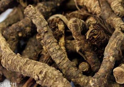 黄连可以直接泡水喝吗 