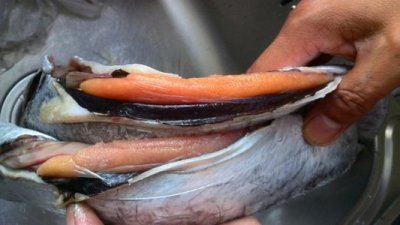 ​带鱼鱼籽能吃吗 带鱼鱼籽怎么做好吃
