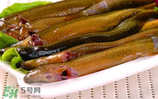 鳗鱼是泥鳅吗？鳗鱼与泥鳅什么区别