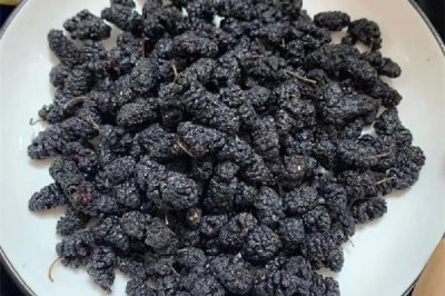 ​桑葚干用开水泡还是温水泡 桑葚干用多少度的水泡最好