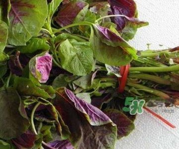 苋菜怎么保存_苋菜怎么保鲜_苋菜保存方法