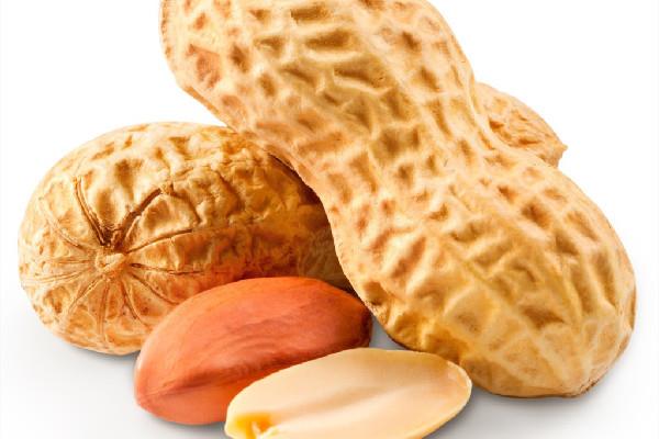 花生适合减肥的人吃吗 花生吃了发胖吗 花生适合减肥的人吃吗 花生吃了发胖吗