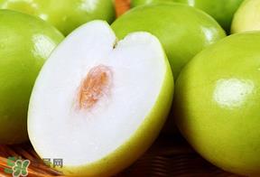 青枣怎么清洗?青枣怎么洗才干净? 青枣怎么清洗?青枣怎么洗才干净?