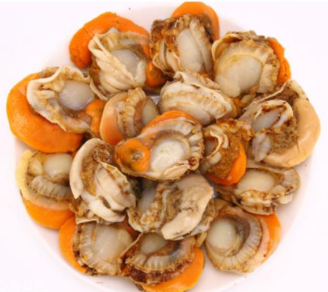 扇贝肉哪里不能吃?扇贝的月牙红可以吃吗? 扇贝肉哪里不能吃?扇贝的月牙红可以吃吗?
