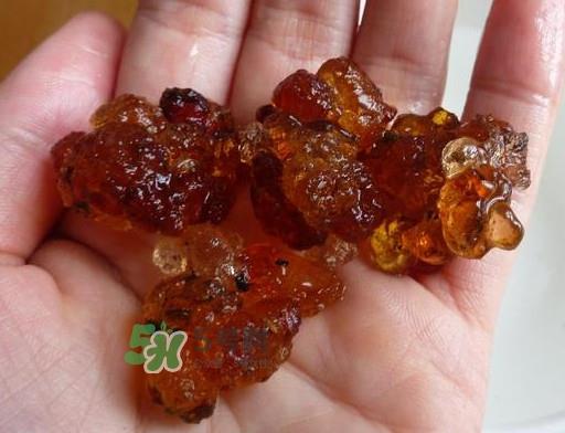 桃胶哪里有卖的?哪里产的桃胶最好 桃胶哪里有卖的?哪里产的桃胶最好