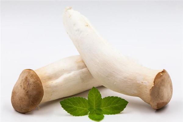 坐月子可以吃鸡腿菇吗 补充蛋白质 坐月子可以吃鸡腿菇吗 补充蛋白质