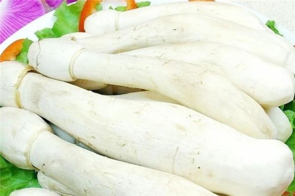 坐月子可以吃鸡腿菇吗 补充蛋白质 坐月子可以吃鸡腿菇吗 补充蛋白质