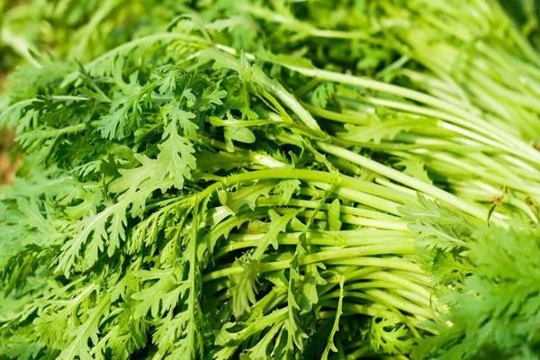 茼蒿的热量是多少 减肥可以吃茼蒿吗