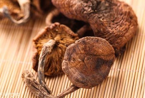 榛蘑怎么洗干净 教你几招清洗技巧