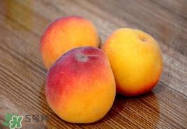 吃完杏子能喝牛奶吗？杏子和牛奶能一起吃吗？