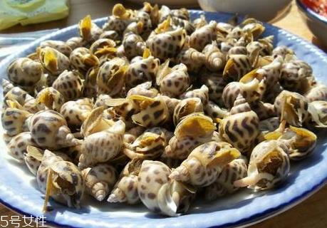 花螺怎么保鲜 花螺可以放冰箱吗