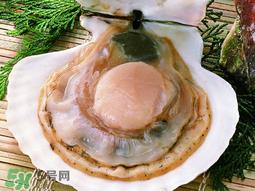 荠菜和扇贝可以一起吃吗？荠菜扇贝汤的做法