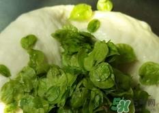 榆钱能冷冻保存吗?榆钱可以冷藏保存吗?