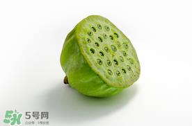 莲蓬什么时候成熟？莲蓬什么时候上市？