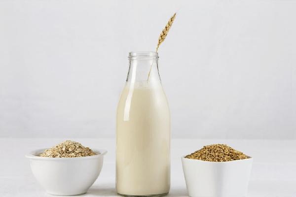 燕麦奶和牛奶的区别 燕麦奶和牛奶哪个好