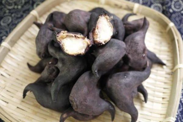 菱角煮多长时间可以熟 煮菱角放盐的原因