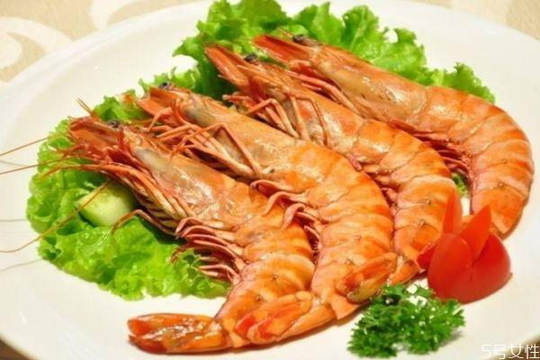 吃竹节虾有什么注意的呢 竹节虾怎么做好吃呢