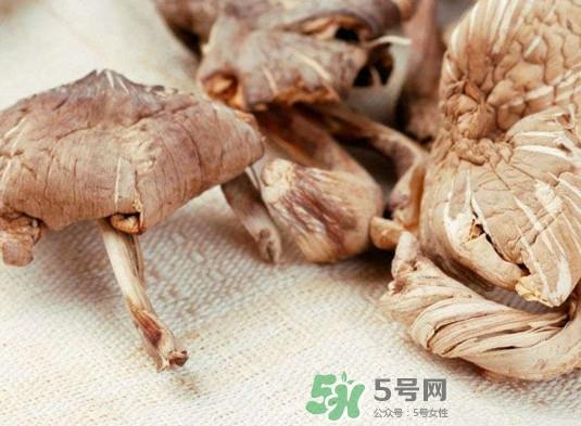 鸡枞菌有毒吗？鸡枞菌不能和什么一起吃？