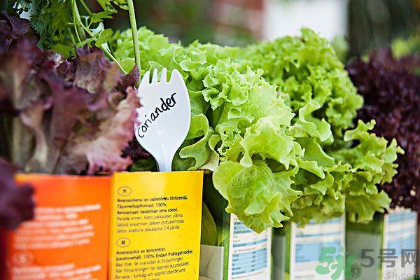 生菜和豆腐能一起吃吗？生菜和豆腐怎么做好吃？