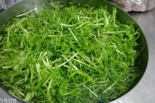 什么是银丝菜呢 银丝菜有什么营养价值呢