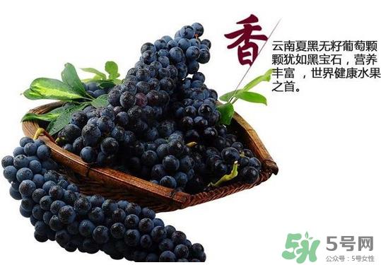 夏黑葡萄怎么保存？夏黑葡萄可以放冰箱吗？