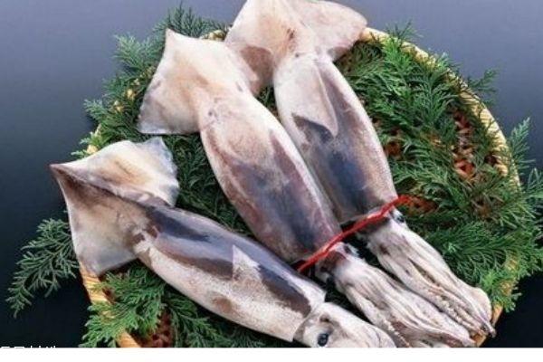 鱿鱼的价格是多少呢 鱿鱼怎么做好吃呢 鱿鱼的价格是多少呢 鱿鱼怎么做好吃呢