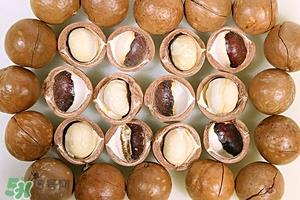 夏威夷果糖尿病能吃吗?糖尿病人吃夏威夷果好吗? 夏威夷果糖尿病能吃吗?糖尿病人吃夏威夷果好吗?