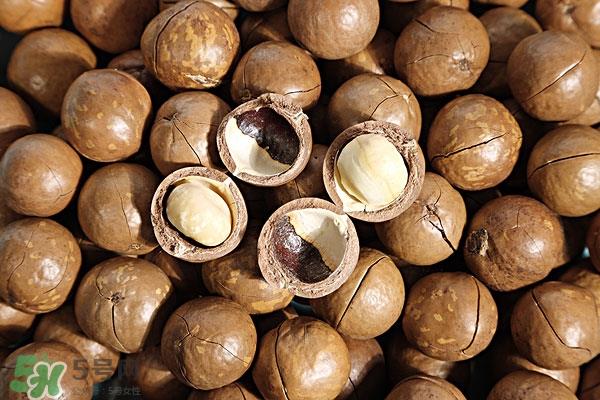 夏威夷果糖尿病能吃吗?糖尿病人吃夏威夷果好吗? 夏威夷果糖尿病能吃吗?糖尿病人吃夏威夷果好吗?