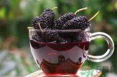 桑葚能和蜂蜜一起吃吗?桑葚可以和蜂蜜同食吗?.png 桑葚能和蜂蜜一起吃吗?桑葚可以和蜂蜜同食吗?.png