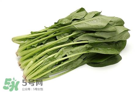 银鱼能和菠菜一起吃吗?银鱼和菠菜怎么吃呢 银鱼能和菠菜一起吃吗?银鱼和菠菜怎么吃呢